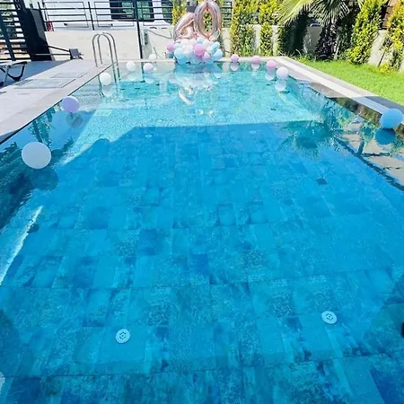 Marcy Belek